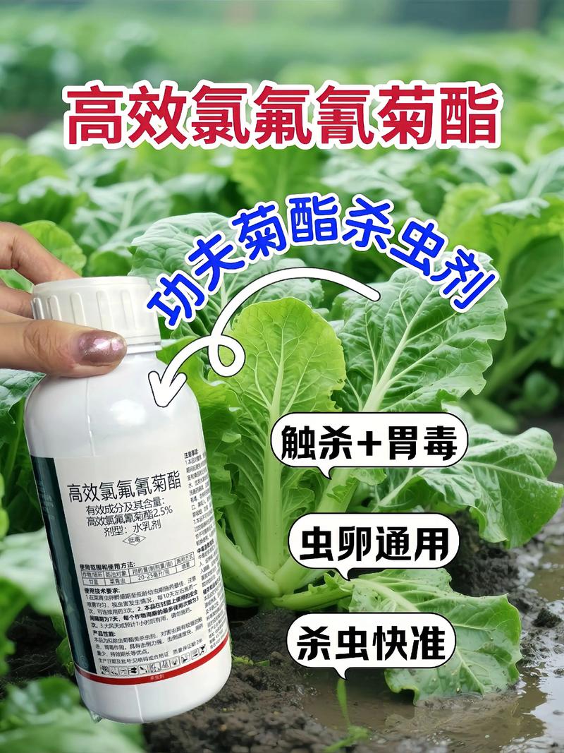 柳州代生中心:农药对供卵代生妈妈的危害